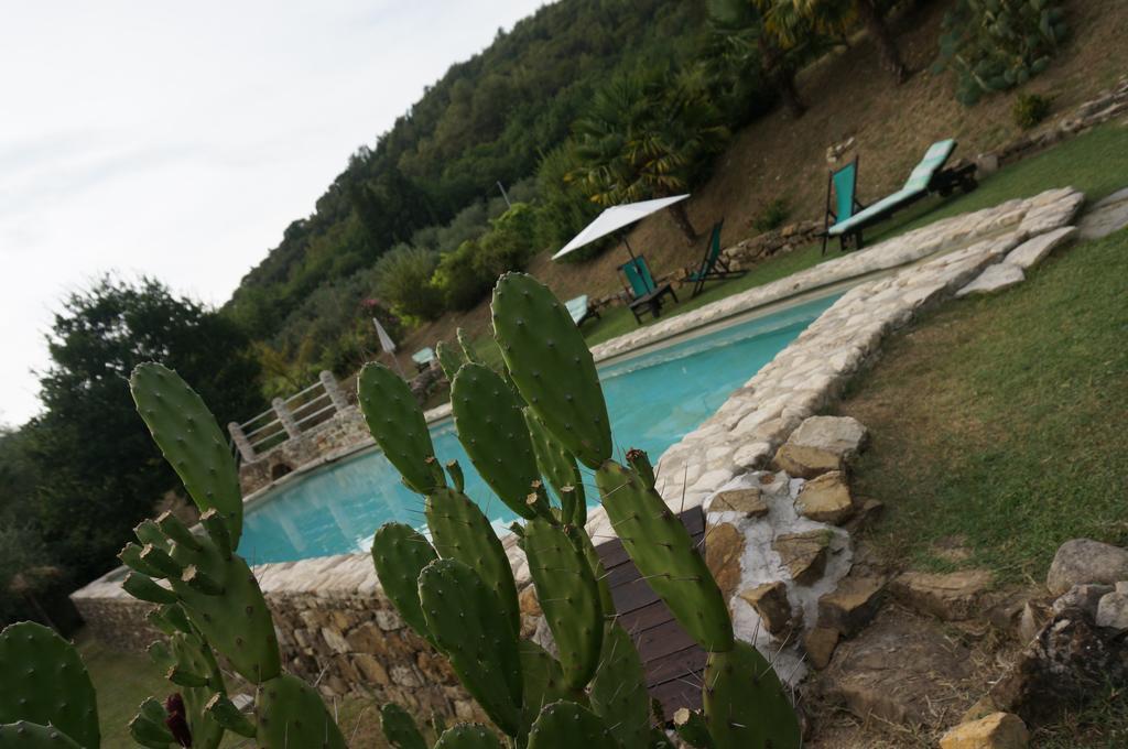Agriturismo Podere Palazzuolo Pontassieve Buitenkant foto