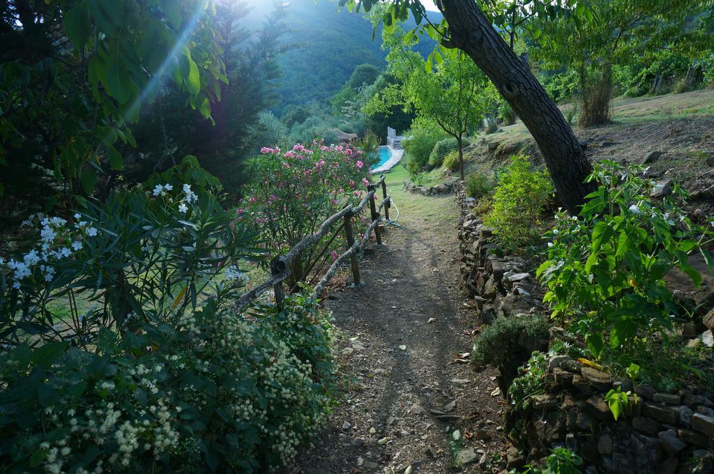 Agriturismo Podere Palazzuolo Pontassieve Buitenkant foto