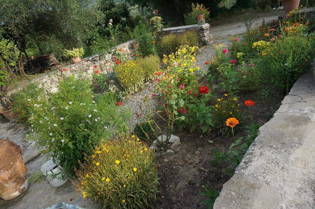Agriturismo Podere Palazzuolo Pontassieve Buitenkant foto