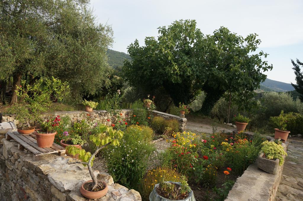 Agriturismo Podere Palazzuolo Pontassieve Buitenkant foto